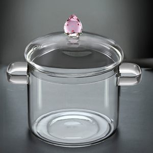 dünyanın en sağlıklı cam tenceresi